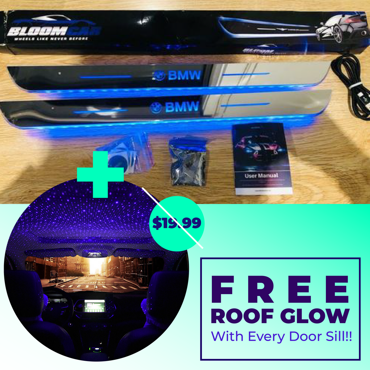 BloomCar LED Door Sill 2.0 TheBloomCar