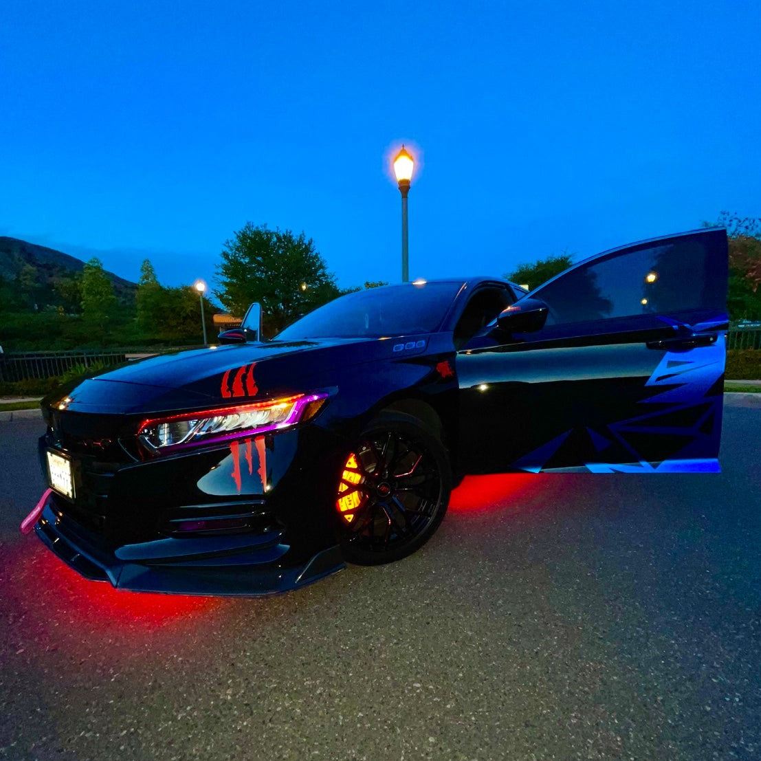 BloomCar™ UnderGlow System