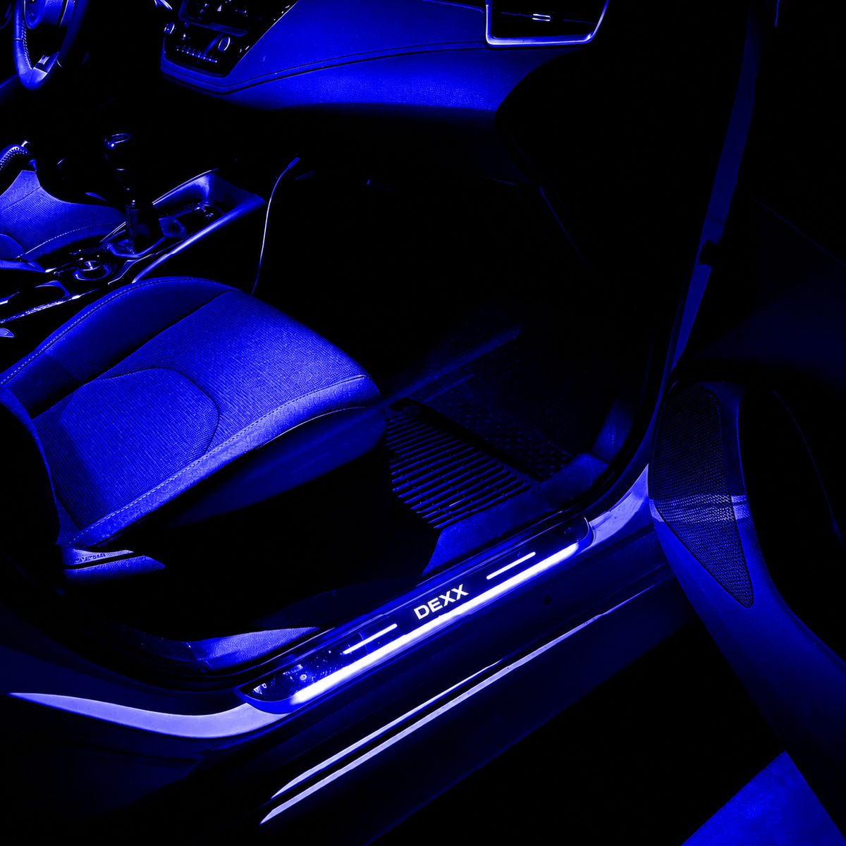 BloomCar™ LED Door Sill Pro (Custom)