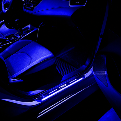 BloomCar™ LED Door Sill Pro (Custom)