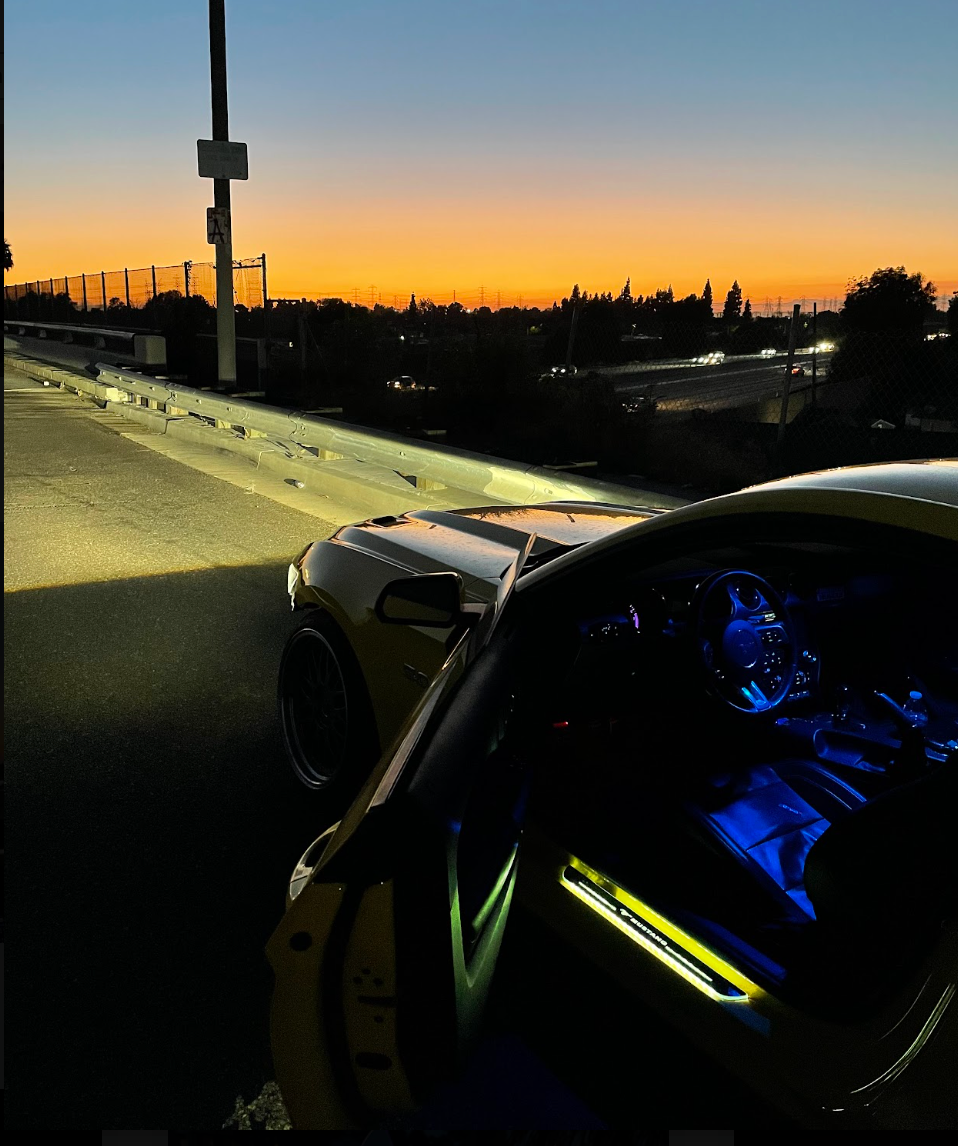 BloomCar™ LED Door Sill Pro (Custom)
