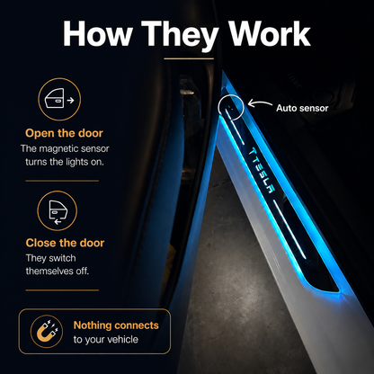 BloomCar™ LED Door Sill Pro (Custom)