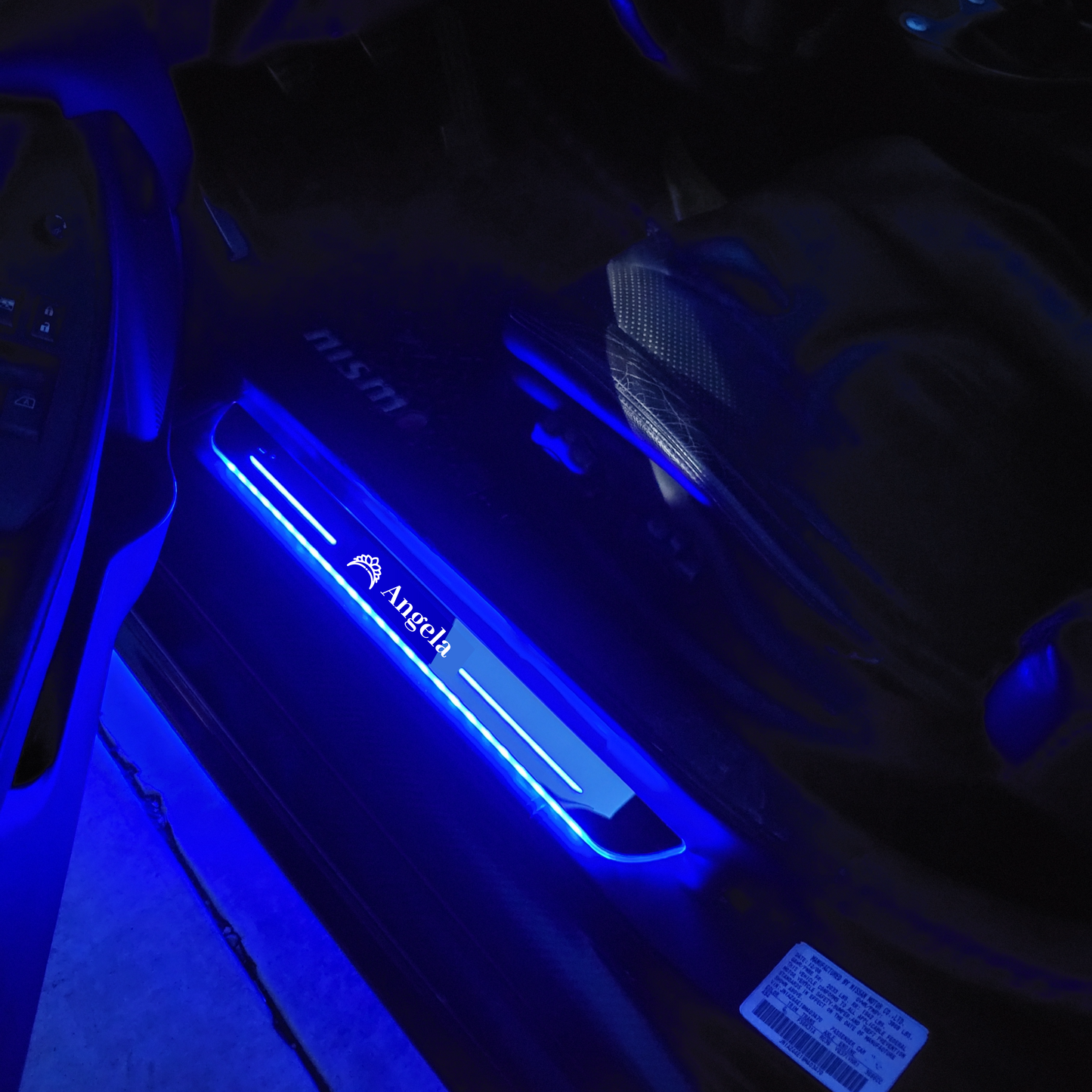 BloomCar Custom LED Door Sill Light